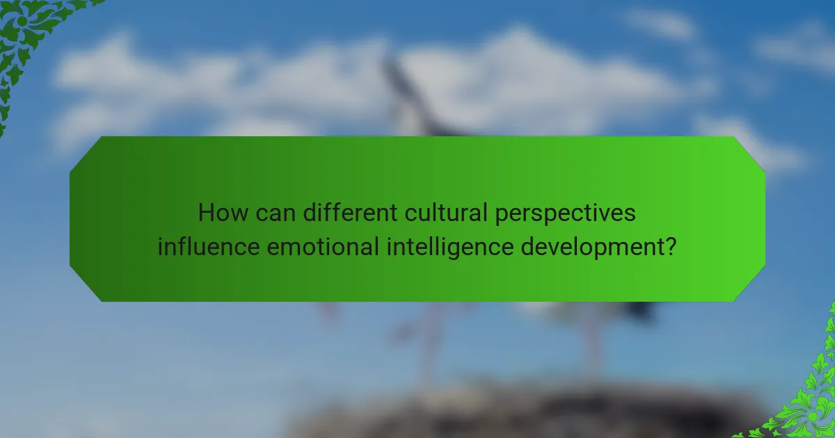 How can different cultural perspectives influence emotional intelligence development?
