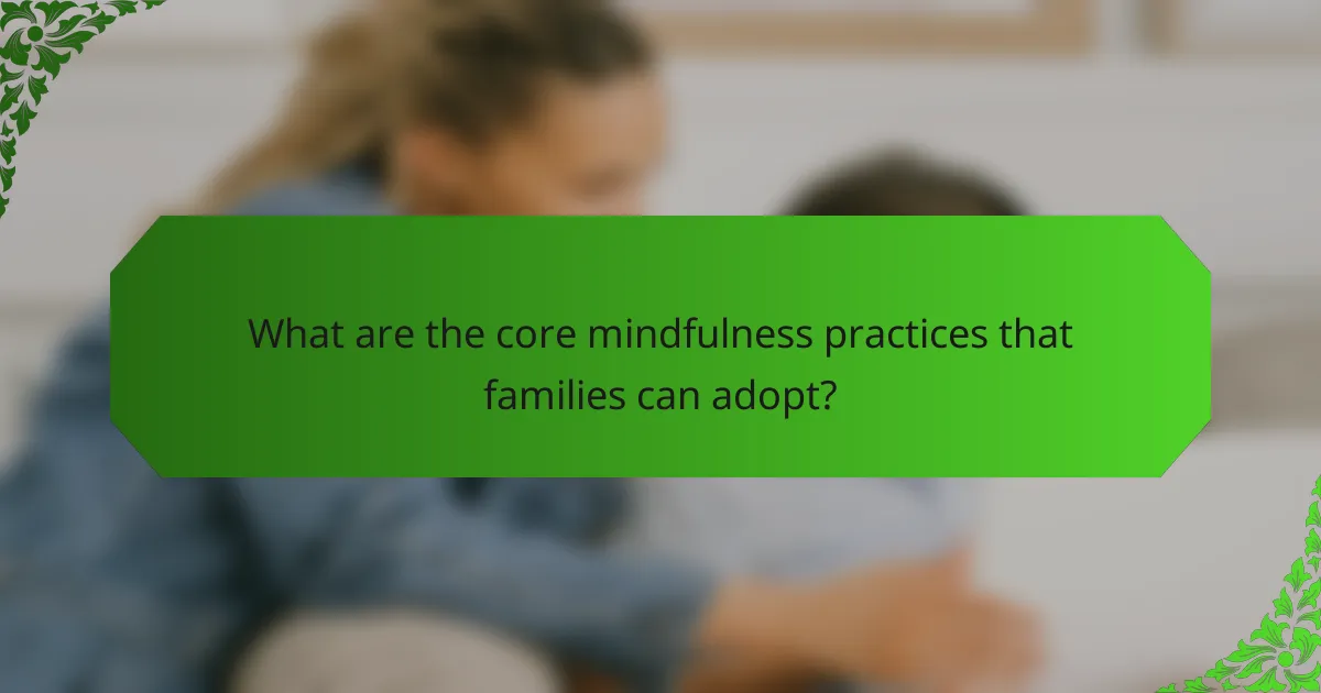 What are the core mindfulness practices that families can adopt?