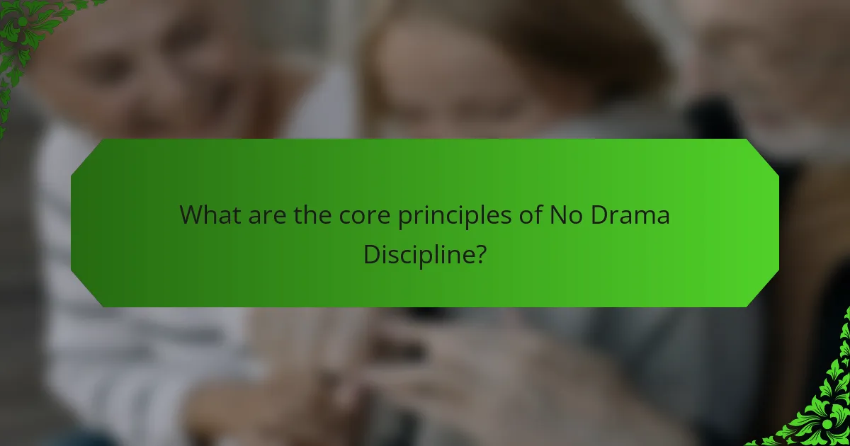 What are the core principles of No Drama Discipline?