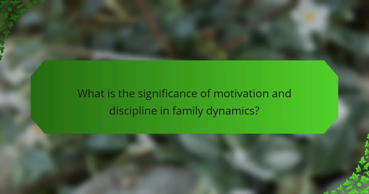 What is the significance of motivation and discipline in family dynamics?