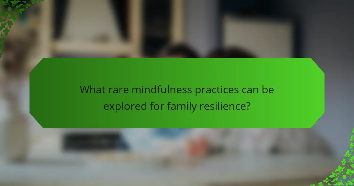 What rare mindfulness practices can be explored for family resilience?